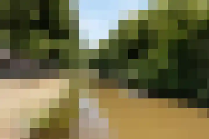 Vincent van Goghstraat 18 Breda thumbnail 26