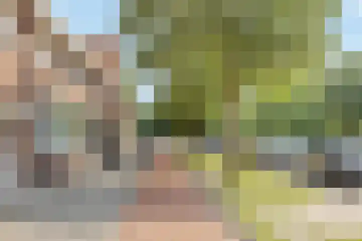 Vincent van Goghstraat 18 Breda thumbnail 27
