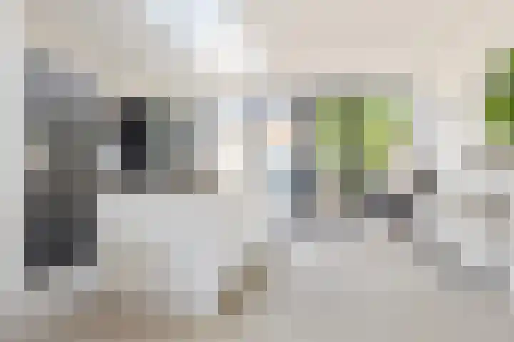 Vincent van Goghstraat 18 Breda thumbnail 8
