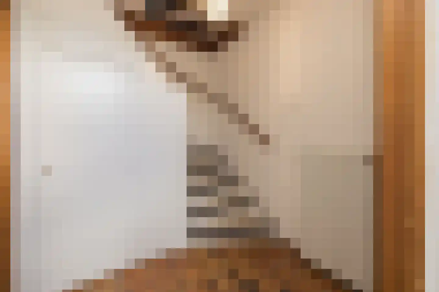 Vincent van Goghstraat 19 Lisse thumbnail 16