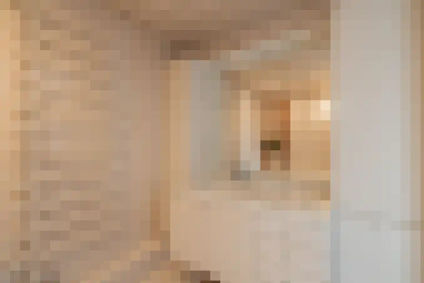 Vincent van Goghstraat 19 Lisse thumbnail 23