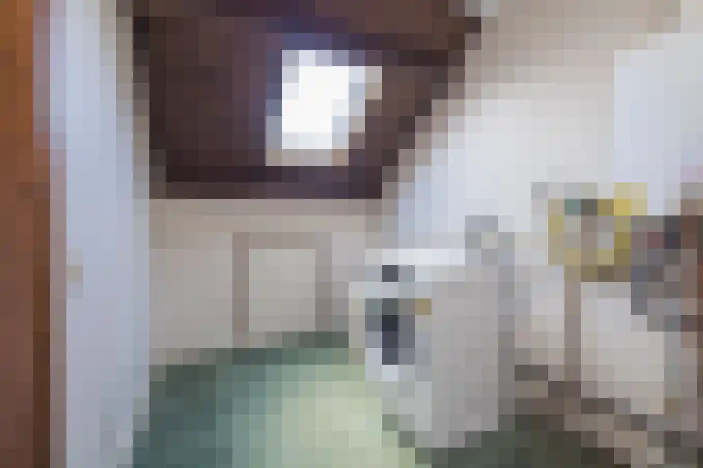 Vincent van Goghstraat 19 Lisse thumbnail 35