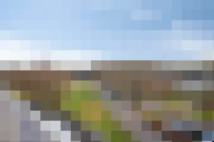 Vincent van Goghstraat 195 Nuenen thumbnail 40