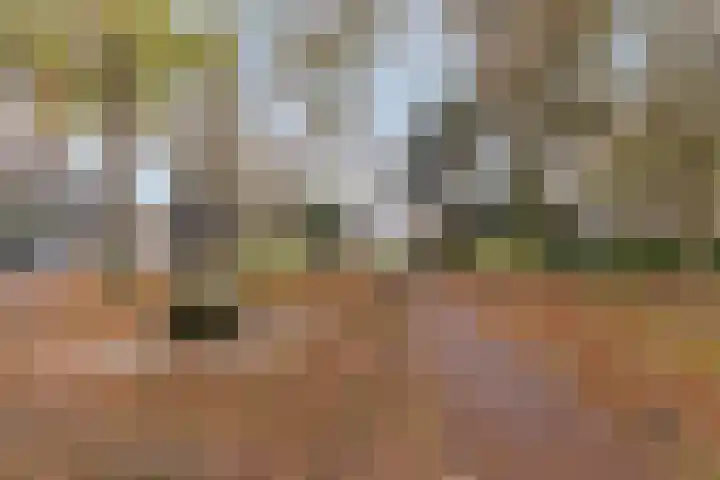 Vincent van Goghstraat 195 Nuenen thumbnail 54
