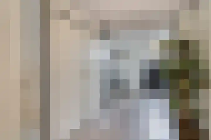 Vincent van Goghstraat 195 Nuenen thumbnail 7