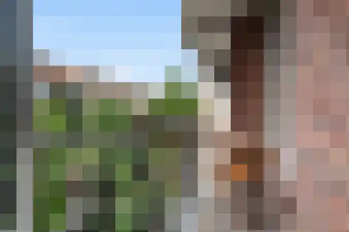 Vincent van Goghstraat 198 Amsterdam thumbnail 10