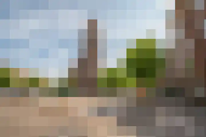 Vincent van Goghstraat 198 Amsterdam thumbnail 21