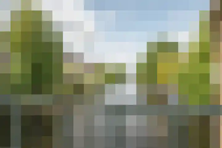 Vincent van Goghstraat 198 Amsterdam thumbnail 23
