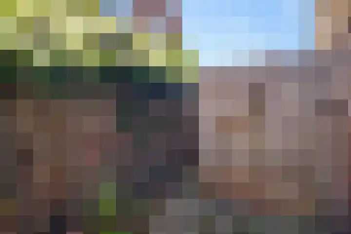 Vincent van Goghstraat 2 A Baarn thumbnail 28