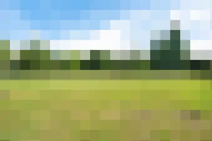Vincent van Goghstraat 2 A Baarn thumbnail 33