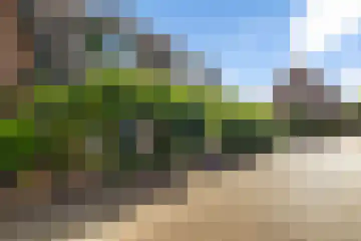 Vincent van Goghstraat 2 A Baarn thumbnail 7