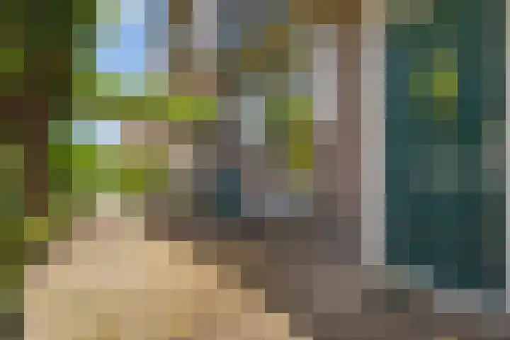Vincent van Goghstraat 2 A Baarn thumbnail 8