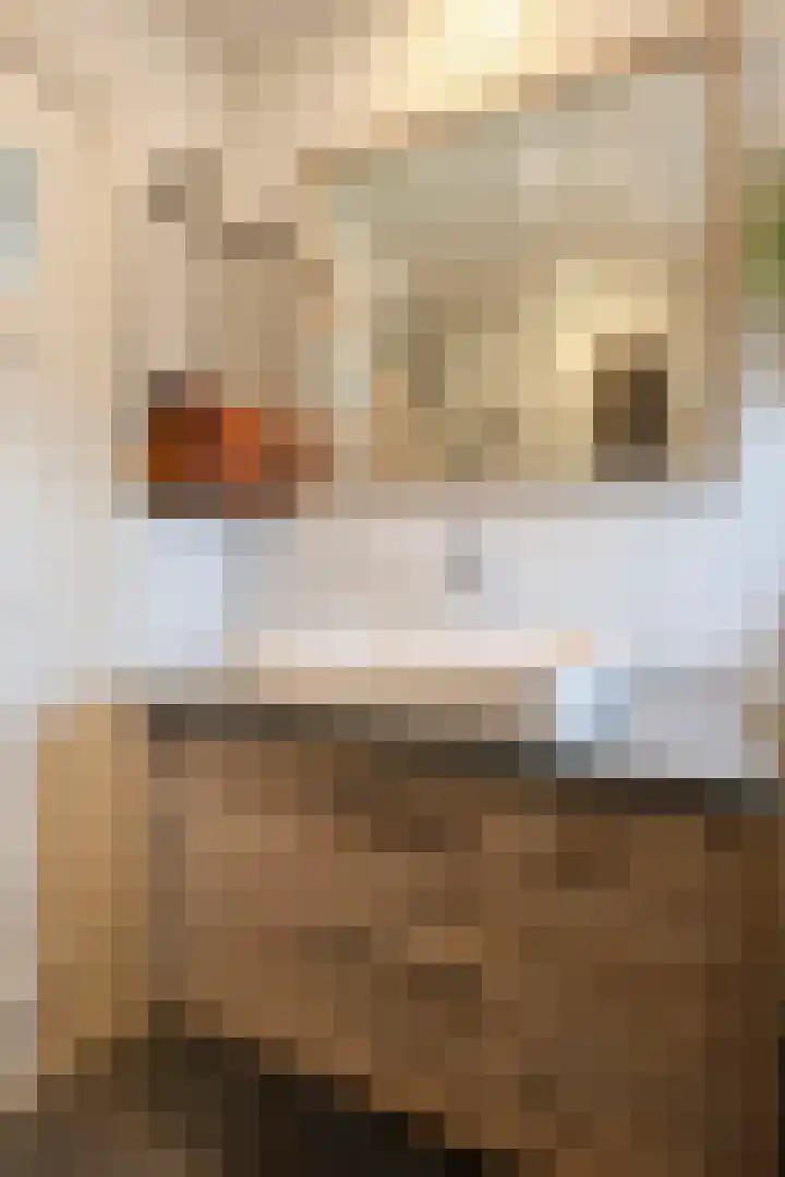 Vincent van Goghstraat 2 Ede thumbnail 18