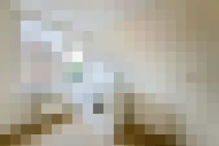 Vincent van Goghstraat 2 Nederhorst den Berg thumbnail 23