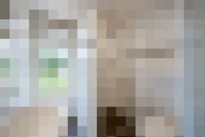 Vincent van Goghstraat 2 Nederhorst den Berg thumbnail 27