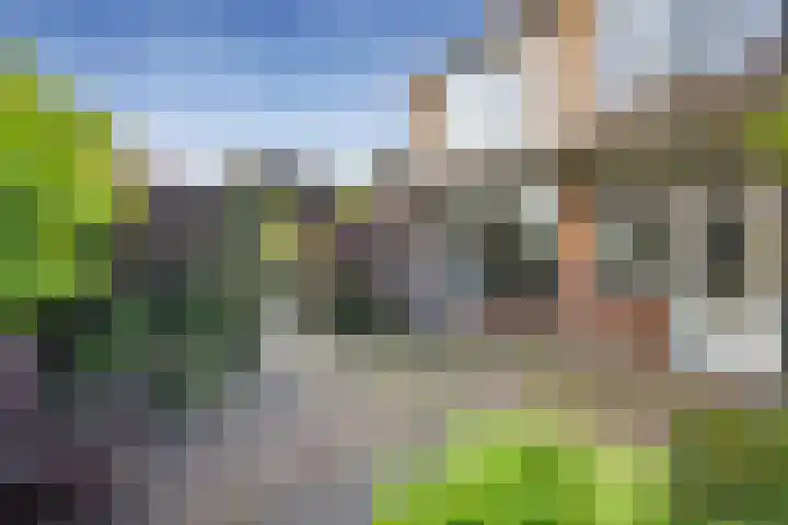 Vincent van Goghstraat 2 Nederhorst den Berg thumbnail 34