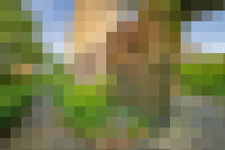 Vincent van Goghstraat 2 Nederhorst den Berg thumbnail 36