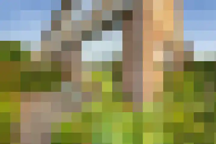 Vincent van Goghstraat 2 Nederhorst den Berg thumbnail 4