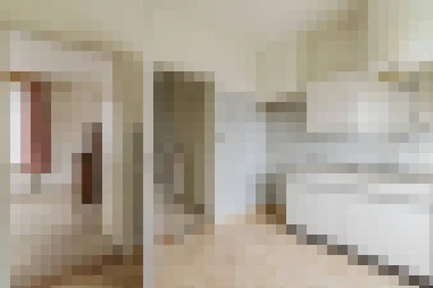 Vincent van Goghstraat 2 Zundert thumbnail 15