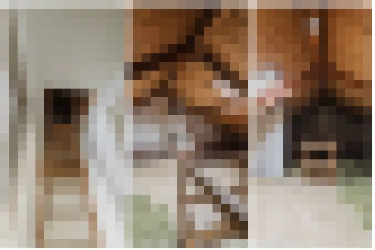 Vincent van Goghstraat 2 Zundert thumbnail 25