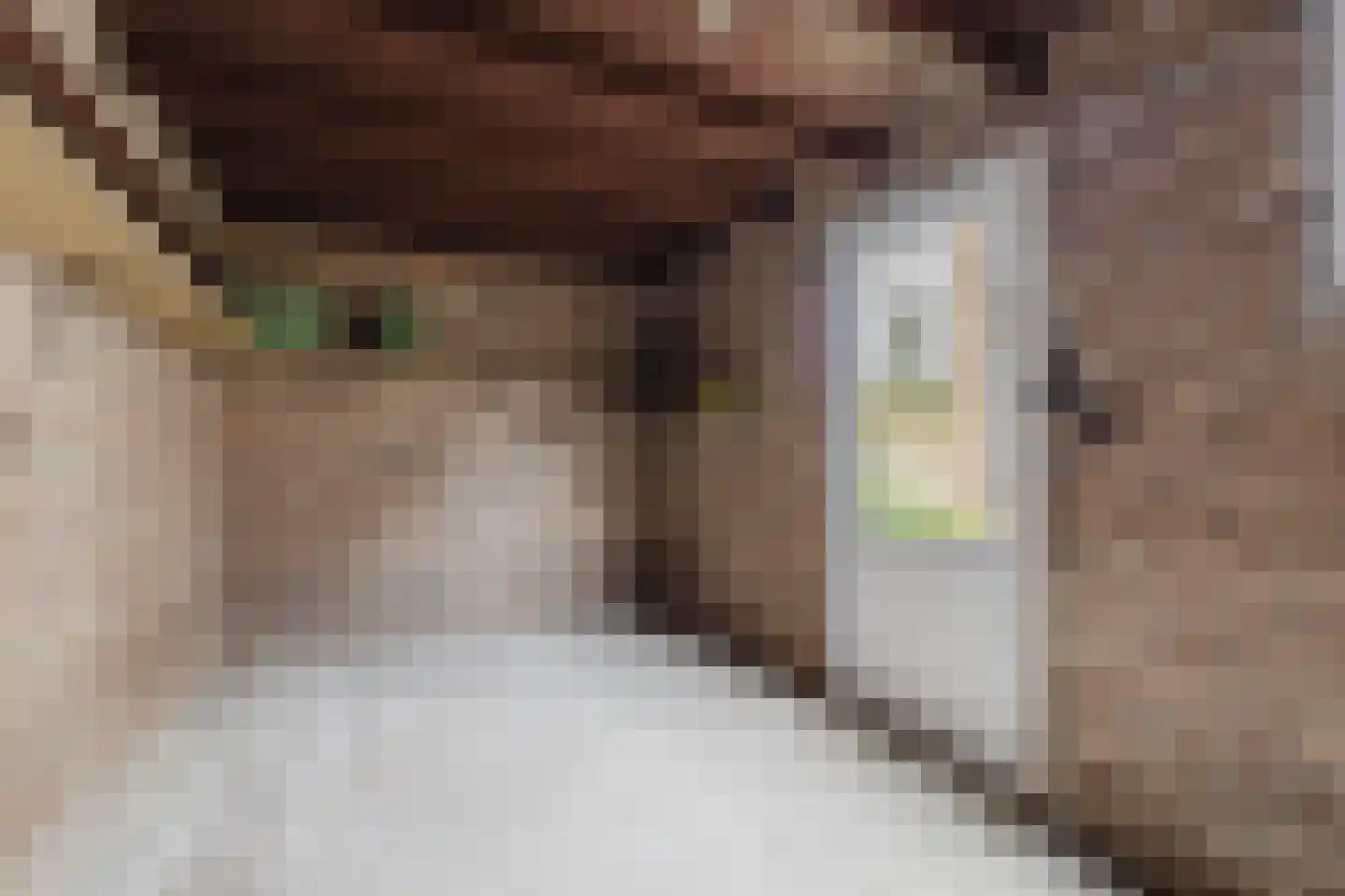 Vincent van Goghstraat 2 Zundert thumbnail 30