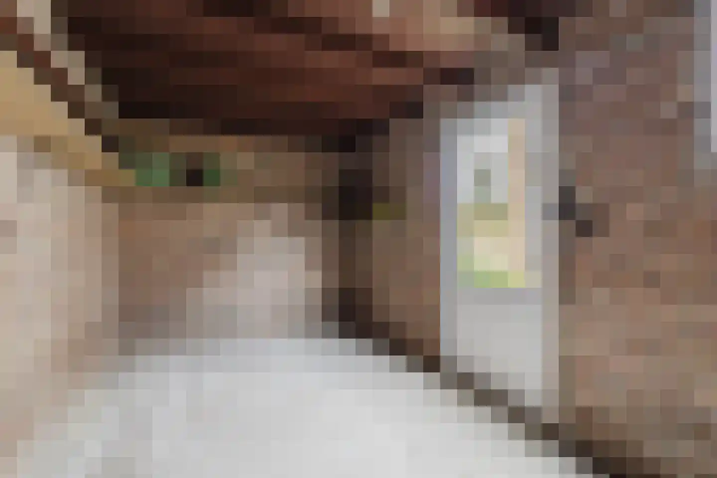 Vincent van Goghstraat 2 Zundert thumbnail 6
