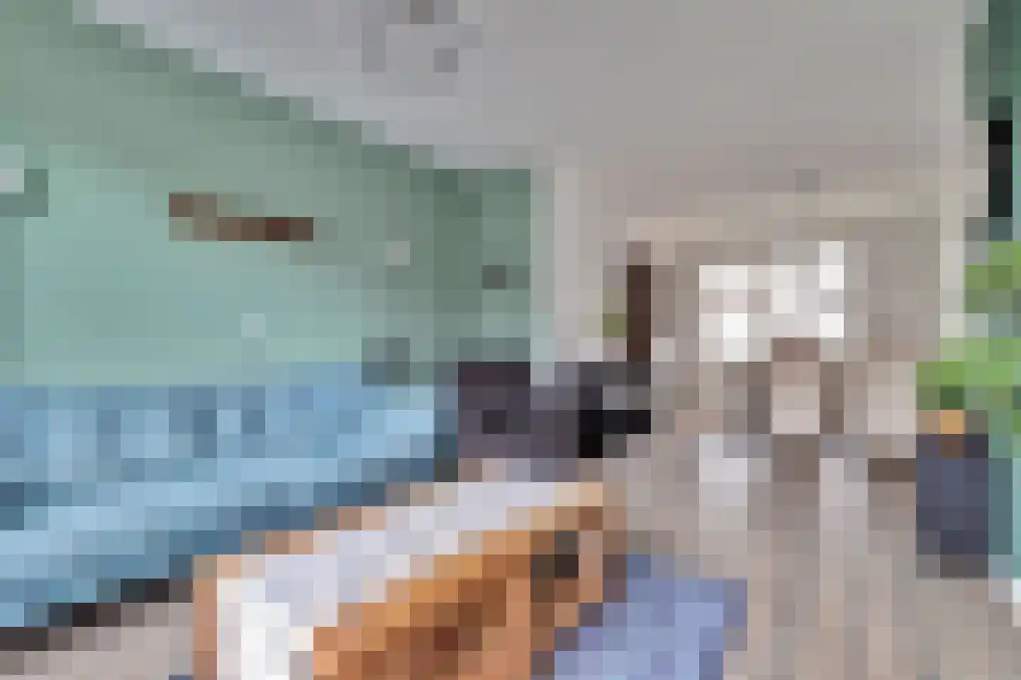 Vincent van Goghstraat 20 Bergen L thumbnail 11