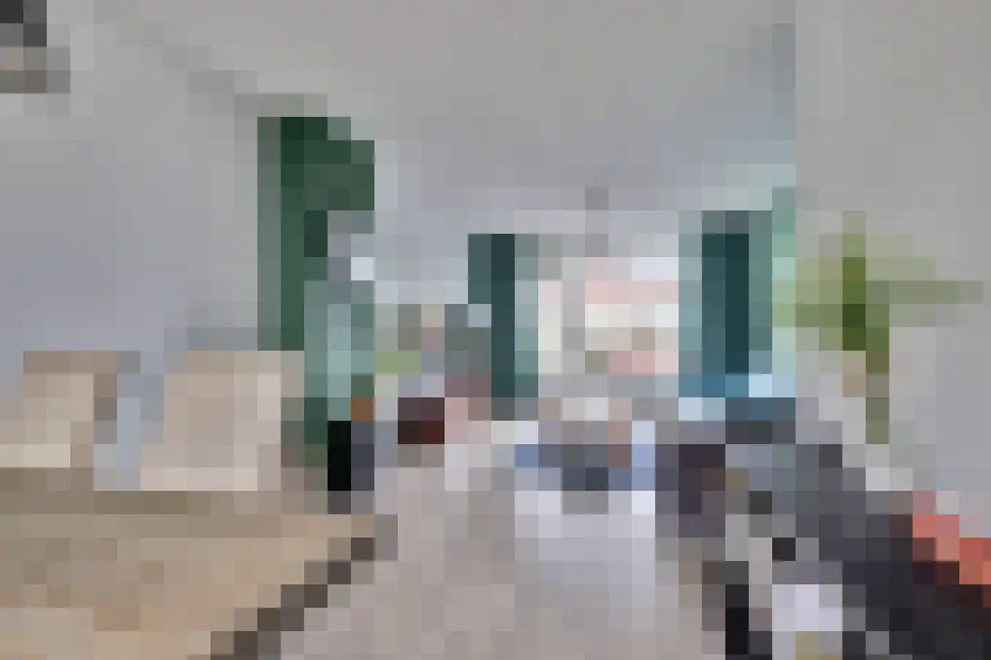 Vincent van Goghstraat 20 Bergen L thumbnail 12