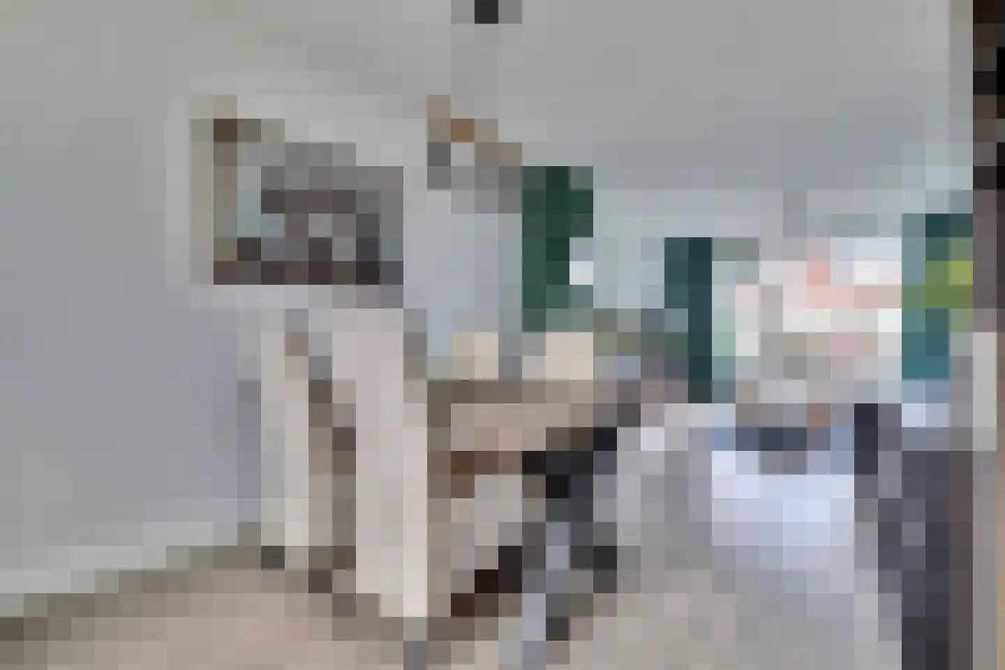 Vincent van Goghstraat 20 Bergen L thumbnail 13
