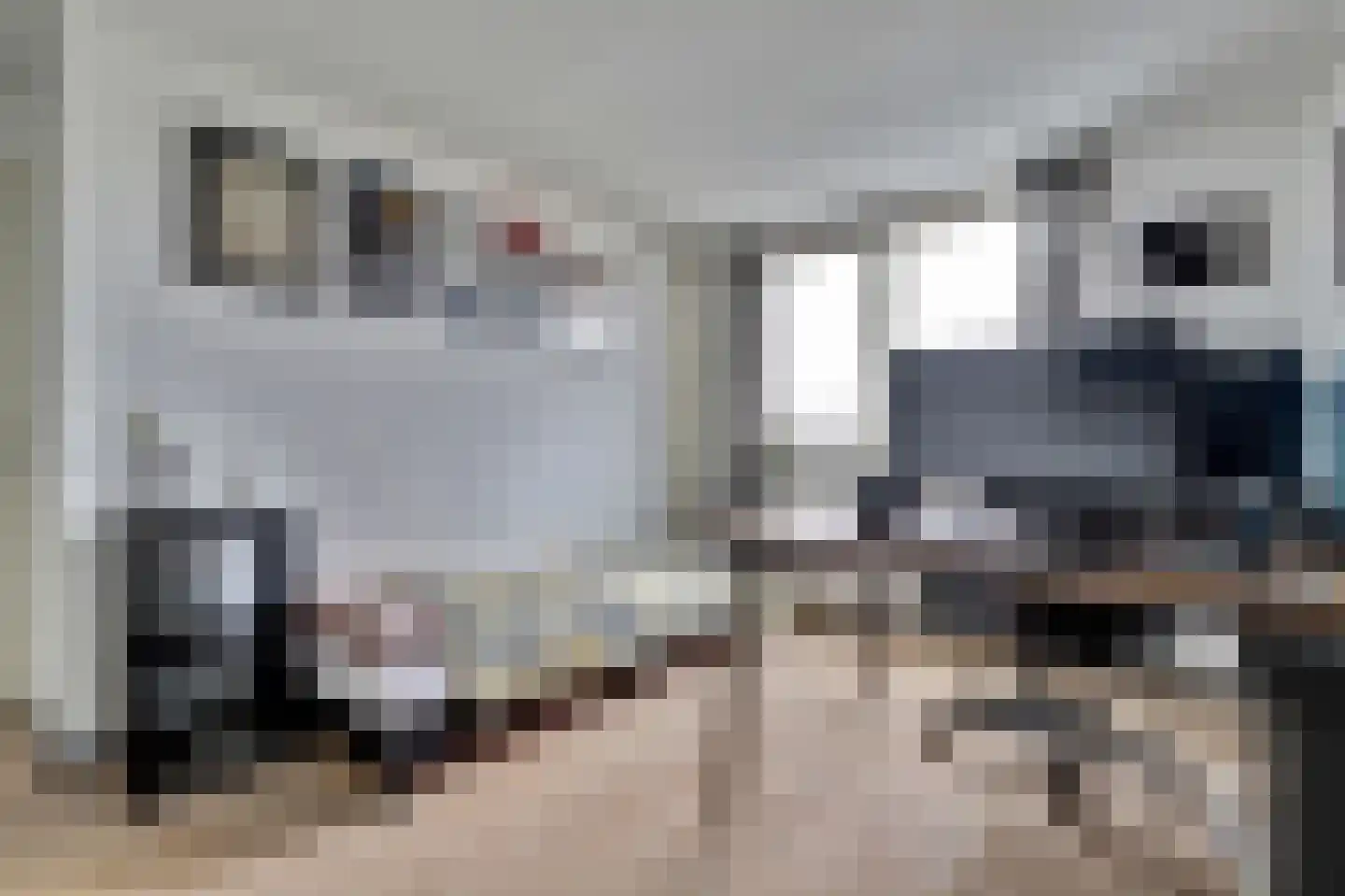 Vincent van Goghstraat 20 Bergen L thumbnail 16