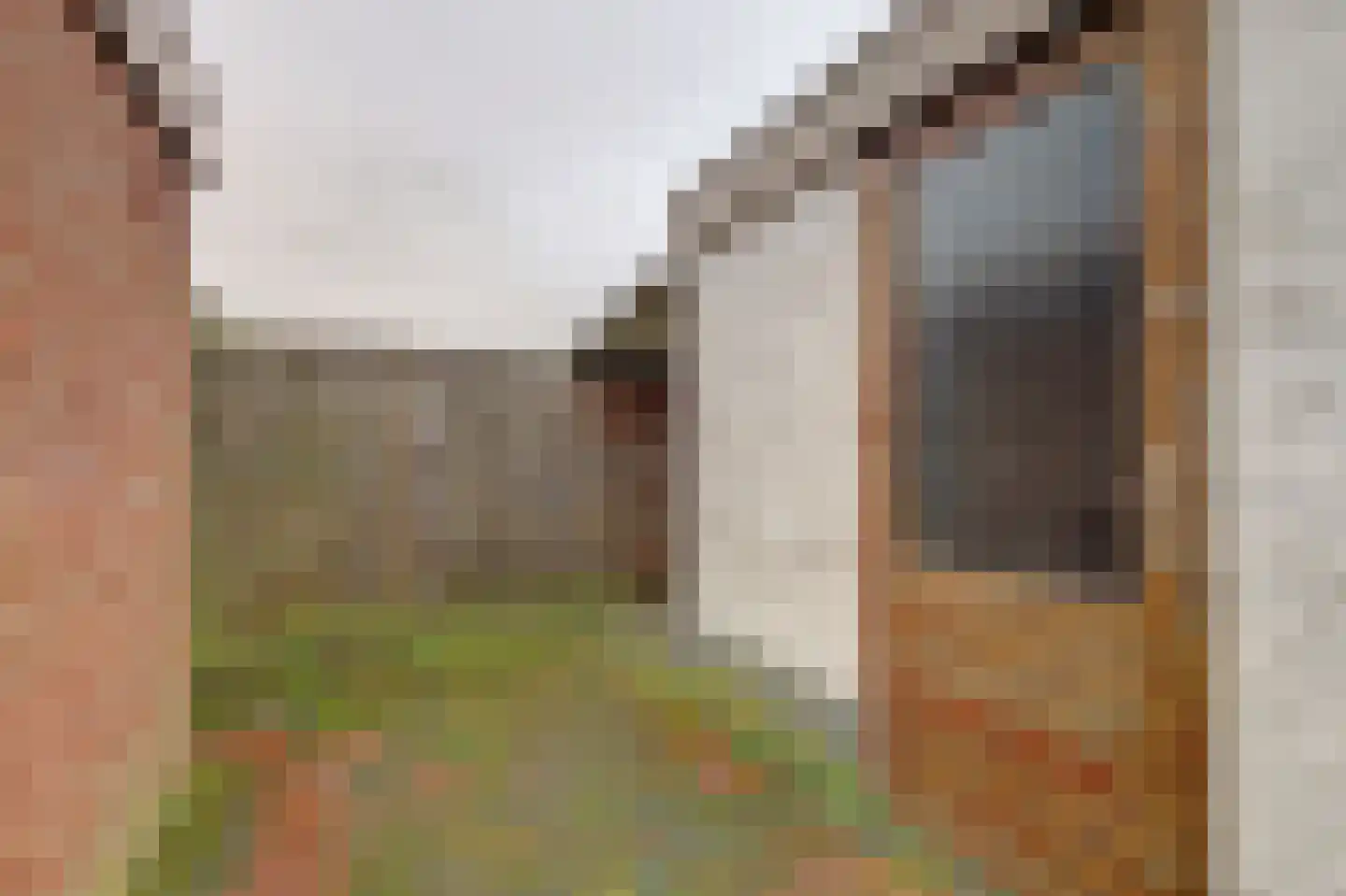 Vincent van Goghstraat 20 Bergen L thumbnail 26