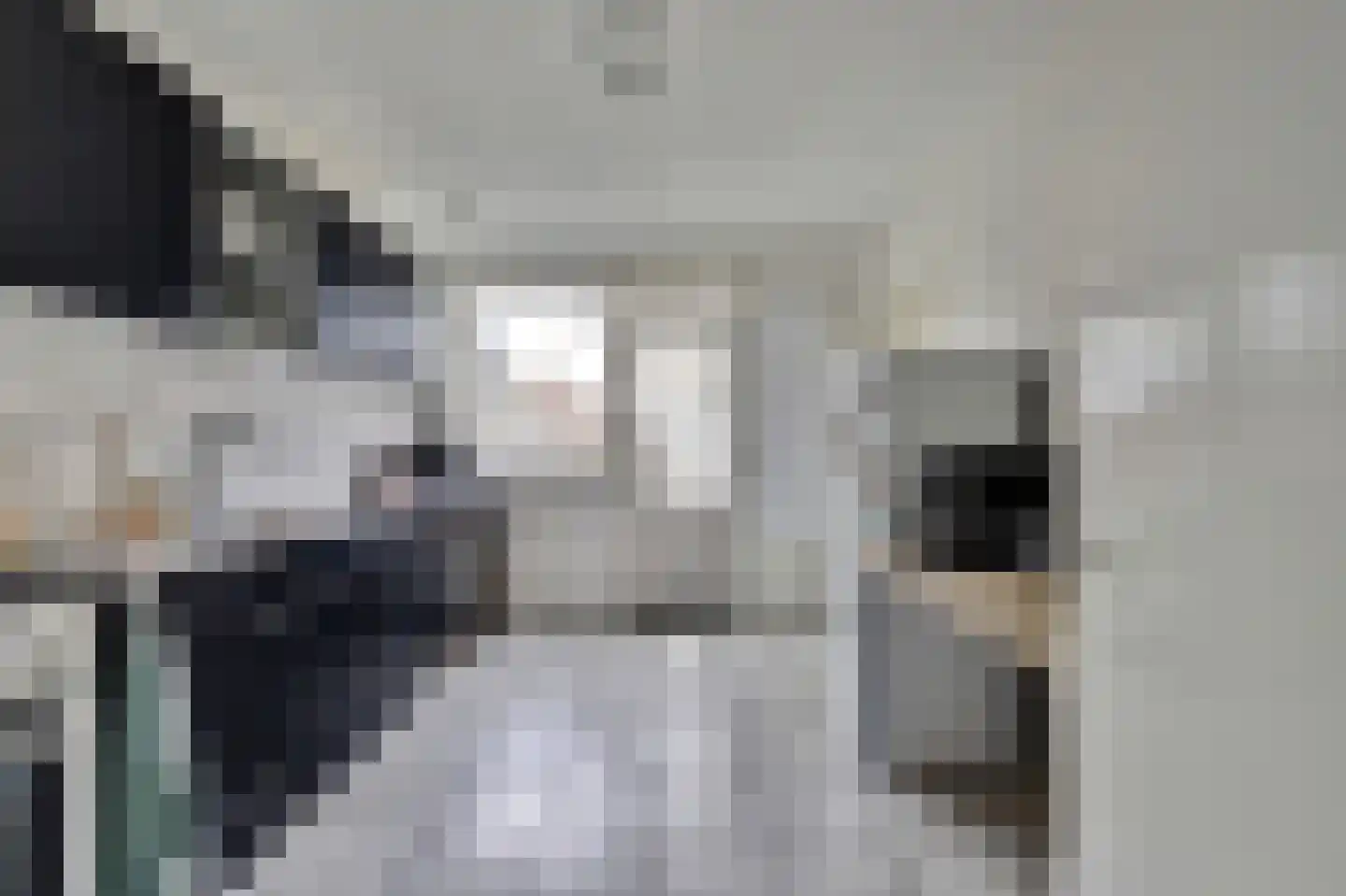 Vincent van Goghstraat 20 Bergen L thumbnail 4