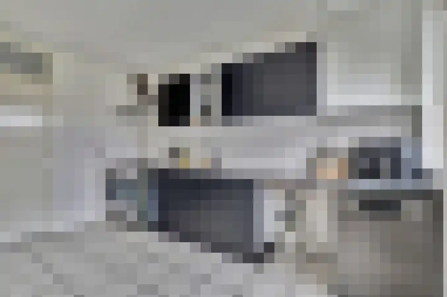 Vincent van Goghstraat 20 Bergen L thumbnail 6