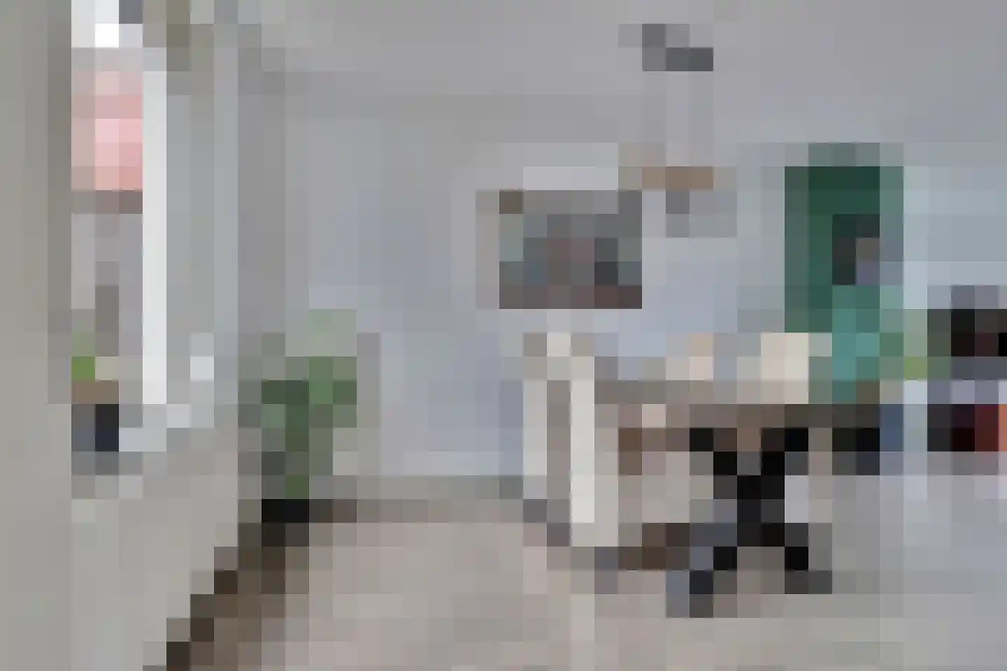 Vincent van Goghstraat 20 Bergen L thumbnail 8