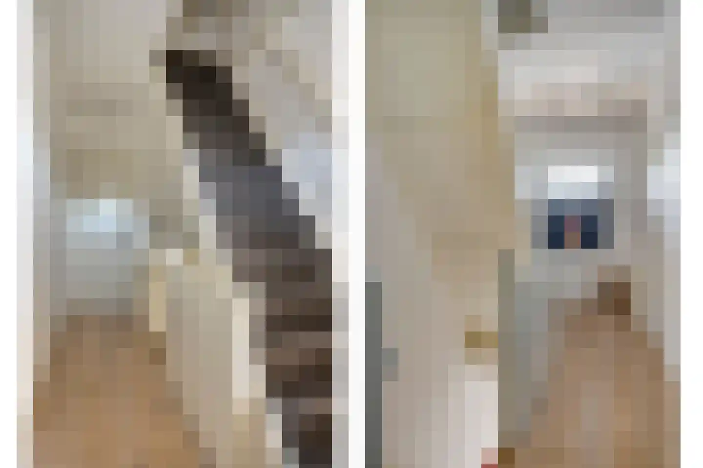 Vincent van Goghstraat 20 Breda thumbnail 18