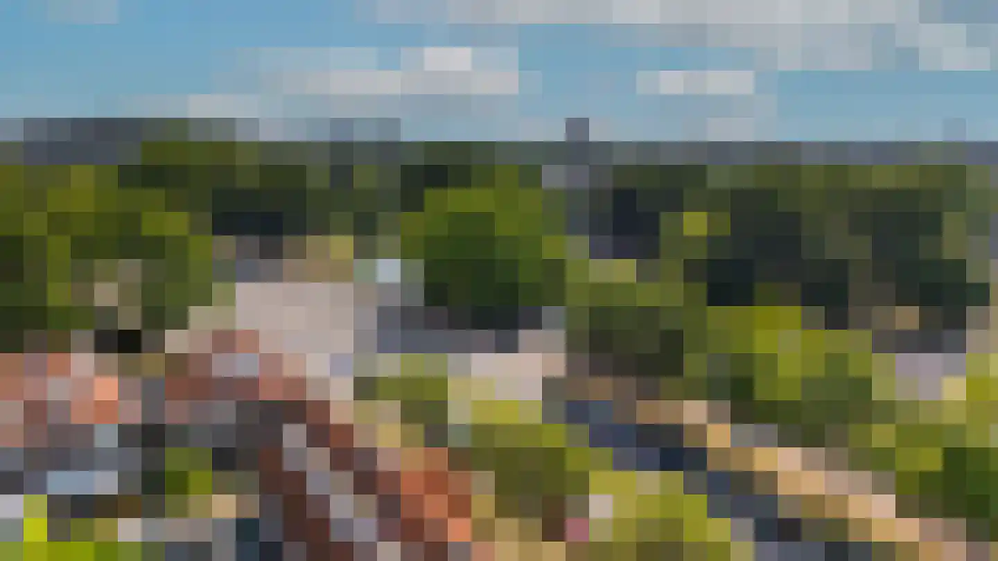 Vincent van Goghstraat 20 Breda thumbnail 32