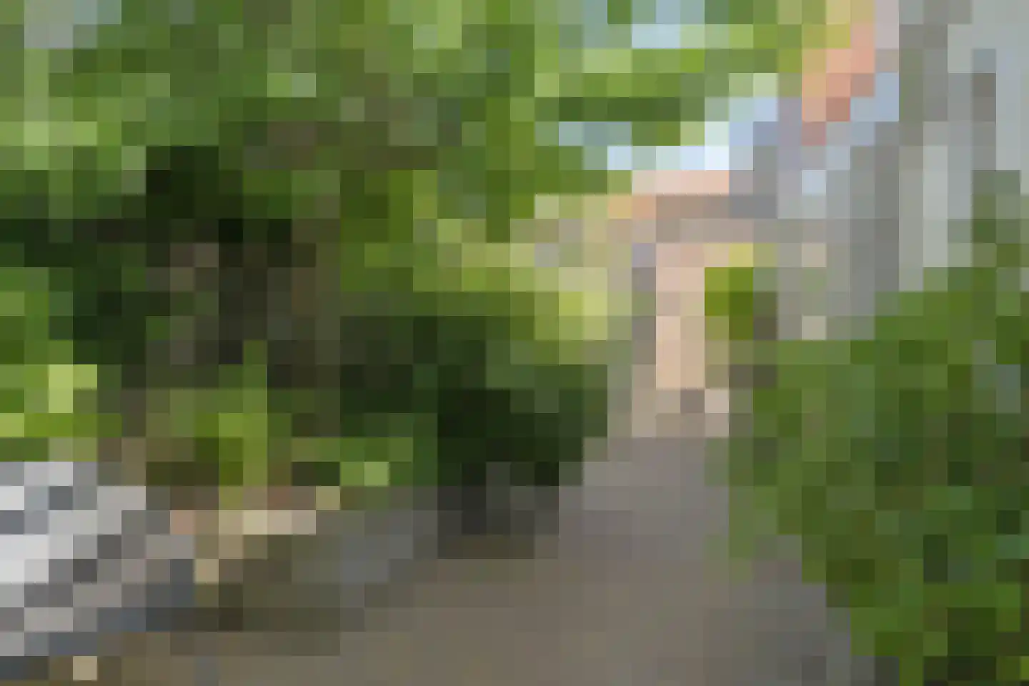 Vincent van Goghstraat 20 Leeuwarden thumbnail 31
