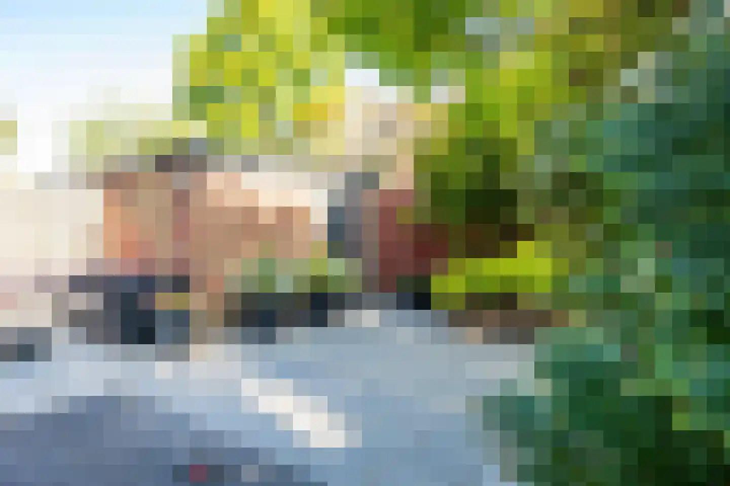 Vincent van Goghstraat 20 Lisse thumbnail 28