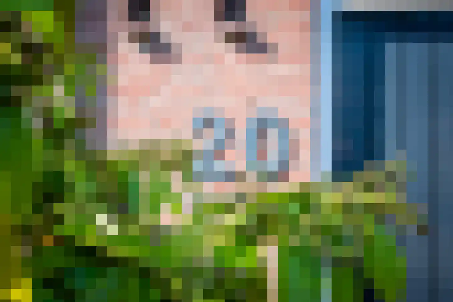 Vincent van Goghstraat 20 Lisse thumbnail 9