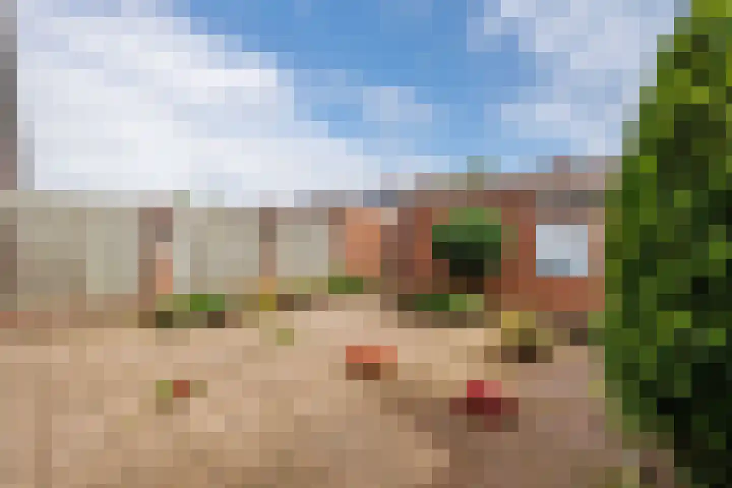 Vincent van Goghstraat 21 Bergen L thumbnail 23