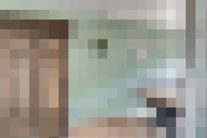 Vincent van Goghstraat 21 Zevenaar thumbnail 12