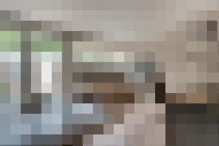 Vincent van Goghstraat 21 Zevenaar thumbnail 16