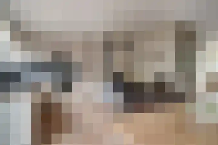 Vincent van Goghstraat 21 Zevenaar thumbnail 17