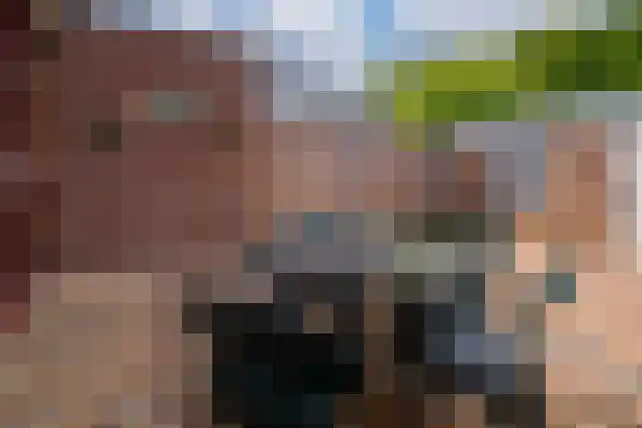 Vincent van Goghstraat 21 Zevenaar thumbnail 21