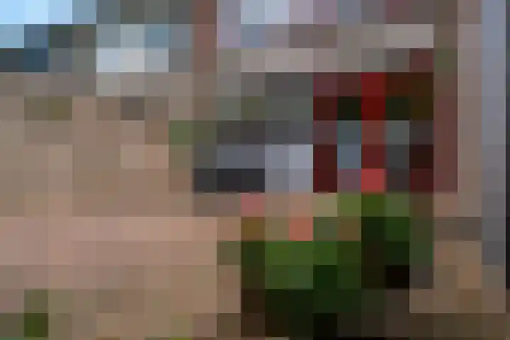 Vincent van Goghstraat 21 Zevenaar thumbnail 25