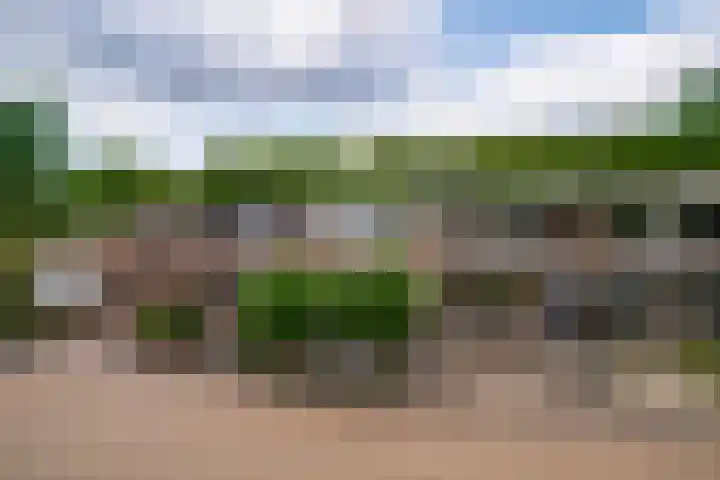 Vincent van Goghstraat 21 Zevenaar thumbnail 7
