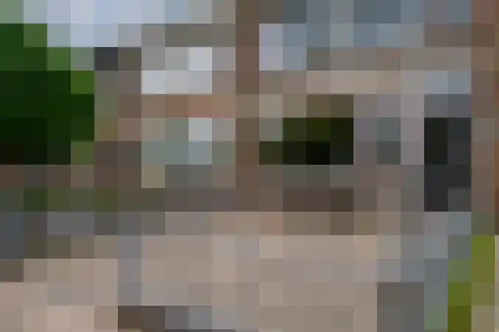Vincent van Goghstraat 21 Zevenaar thumbnail 8
