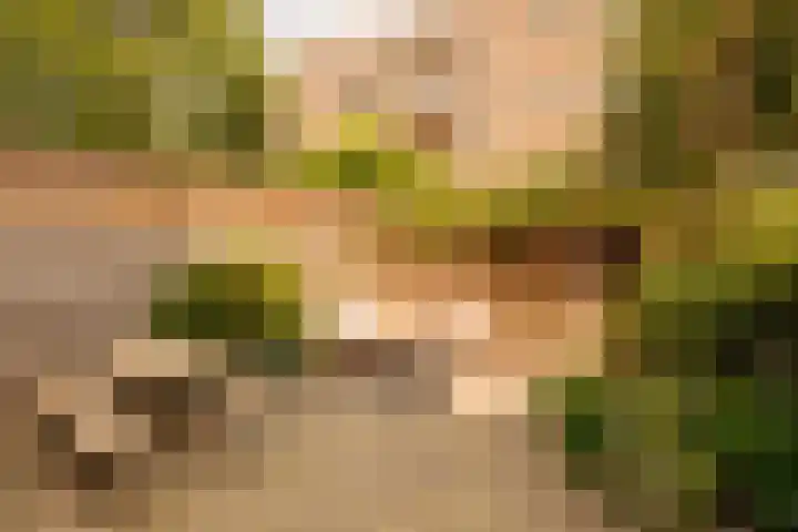 Vincent van Goghstraat 23 A Amsterdam thumbnail 18