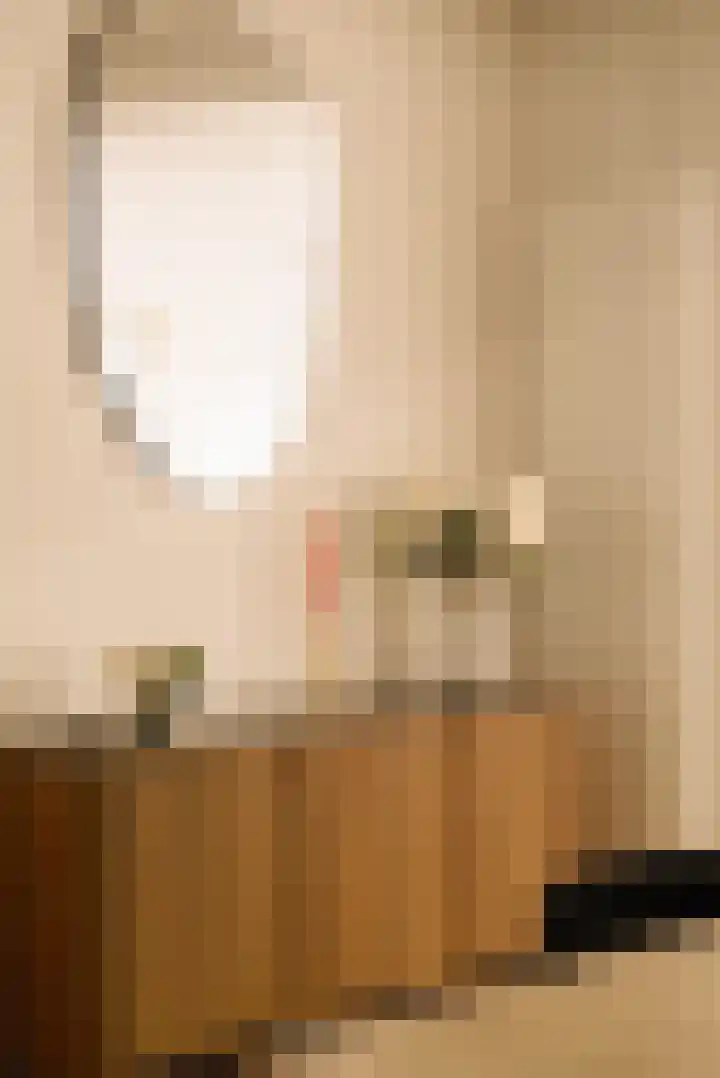 Vincent van Goghstraat 23 A Amsterdam thumbnail 9