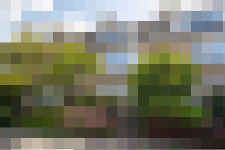 Vincent van Goghstraat 23 Lisse